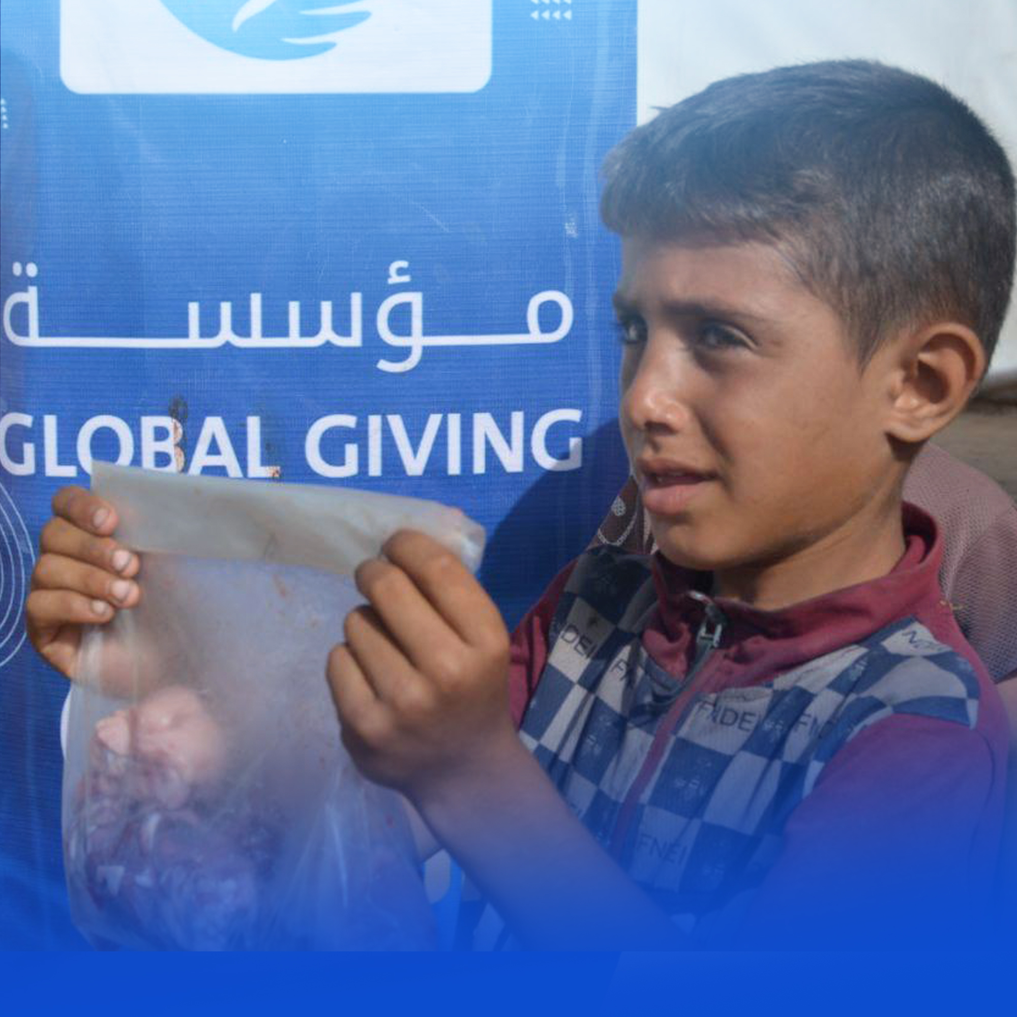 مشروع الاضاحي غزة 2024